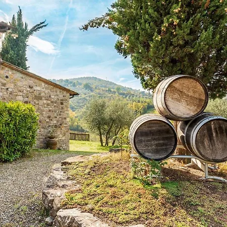 Ulivo * Radda in Chianti